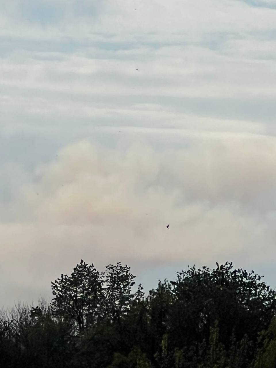 В Николаевской и Одесской областях утром прогремели взрывы